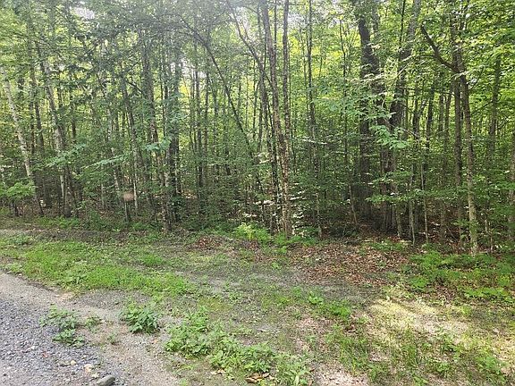 2nd image of 0 Beechwood Drive