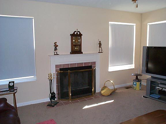 Fireplace in great room