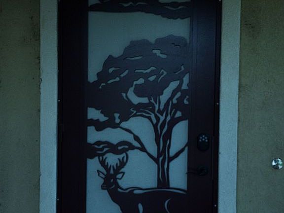 Frnt burgundy security door