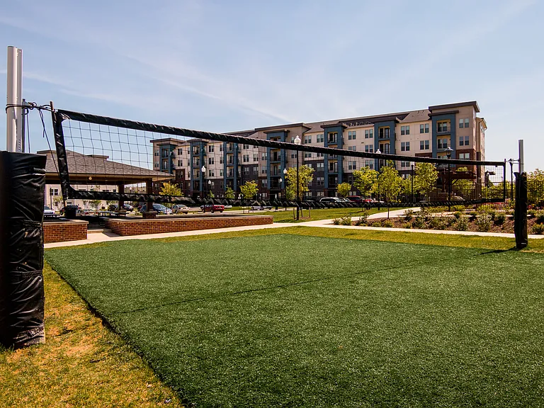 Volleyball court