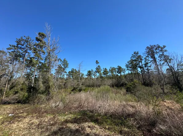 0 Sun Cir, Petal, MS 39465