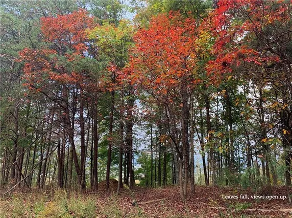 1088 Mayfield Ln NE #1088, Ranger, GA 30734