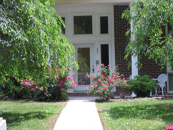 2nd image of 203 Park Ln