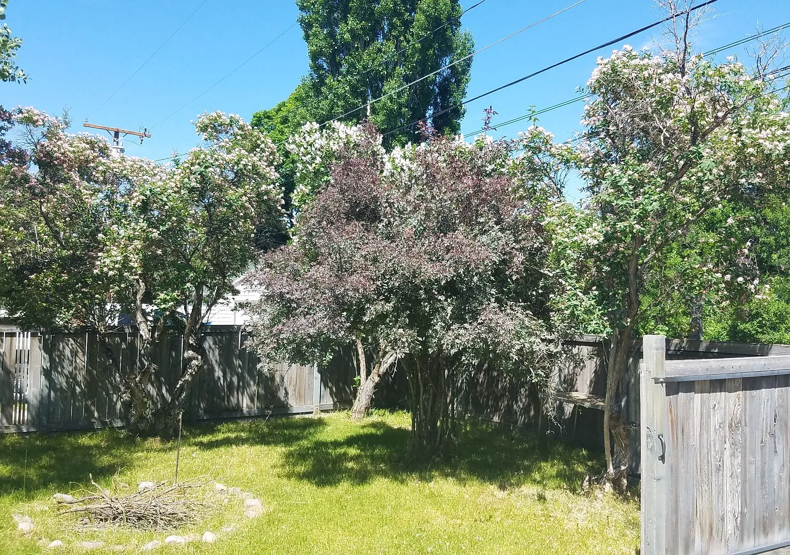 Charming home in University area — Photo 4