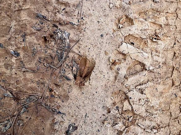 2nd image of TRACT 1 Venus Rd