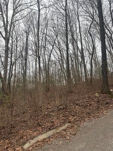 0 Shady Oaks Cv #12, Dunlap, TN, 37327