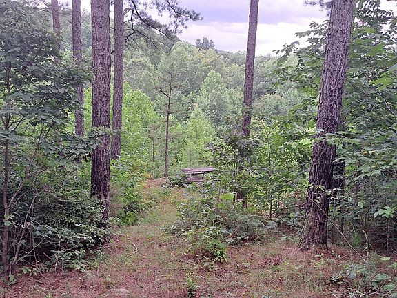 5th image of 899 Flat Rock Rd