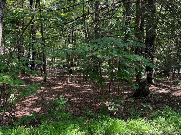 0 Crab Apple Rd, Mount Jackson, VA 22842