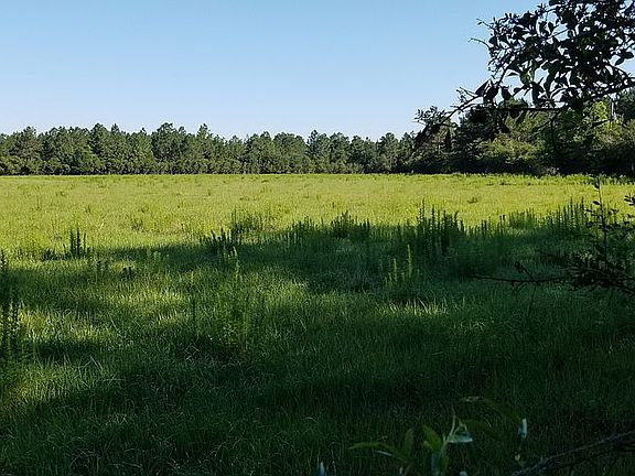 Pasture from main road.