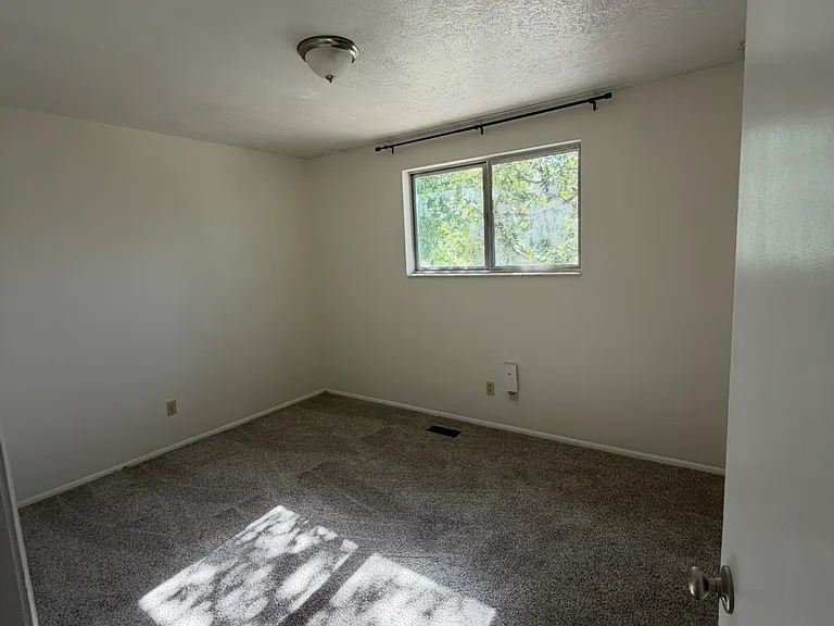 10680 S Carrington St — Photo 13