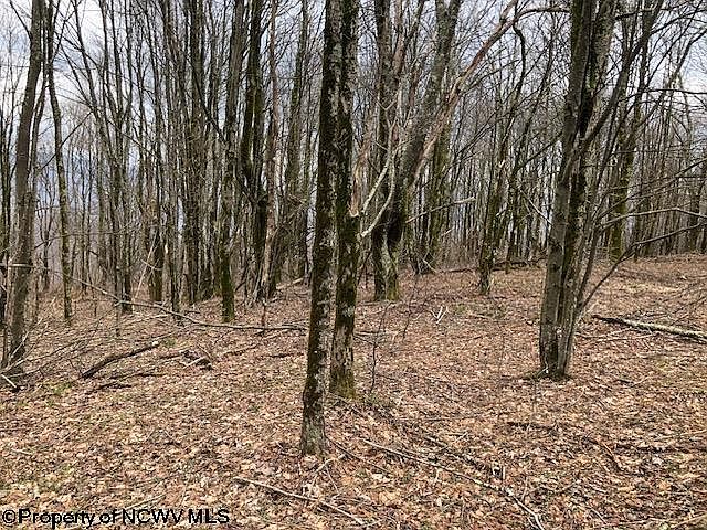 Point Mountain Rd, Monterville, WV 26282 | Zillow