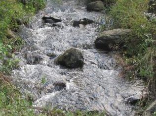 Shell Creek Rd, Roan Mountain, TN 37687