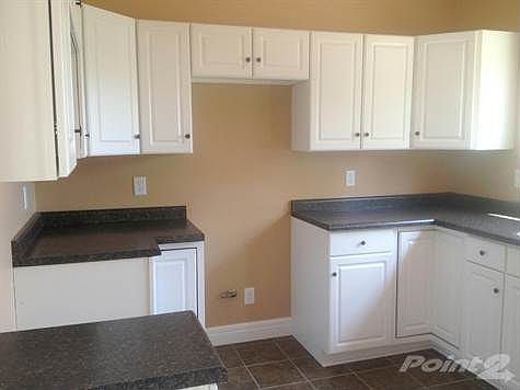 Custom Kitchen/  Price Street