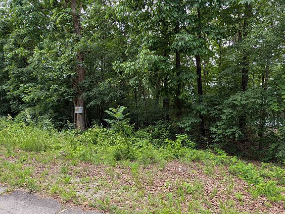 4th image of Lakeside Drive Ozark Acres