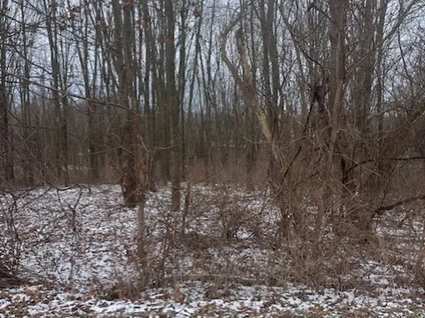 Groveland Station Rd #7, Dansville, NY 14437