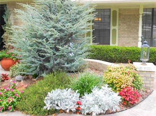 Landscaping in front