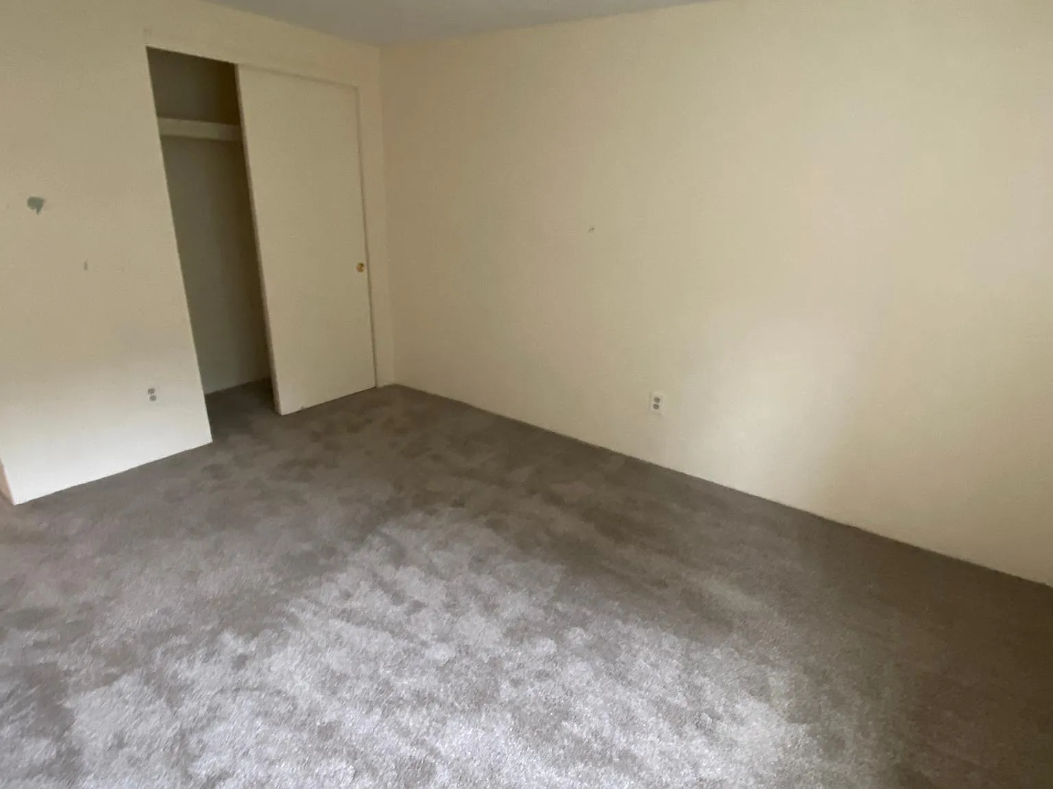 1 bed, 725 sqft, $1,885 — Photo 4