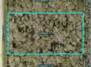 10610 Vaughan Ave, Hastings, FL 32145