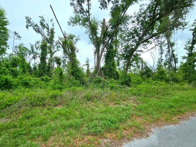 SW Doe Rd LOT 19, Mayo, FL, 32066