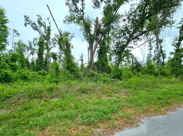 SW Doe Rd Lot 19, Mayo, FL 32066
