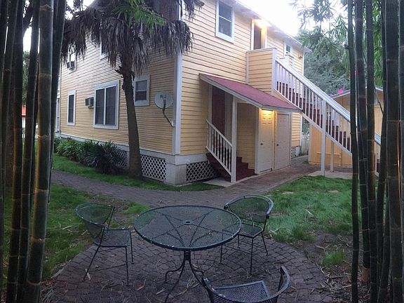 Rear yard with bamboo grove