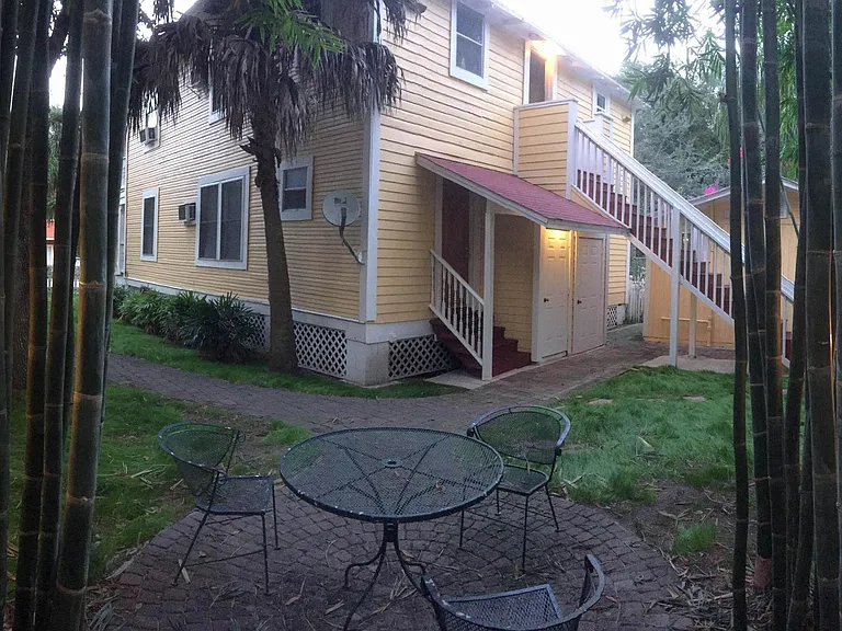 Rear yard with bamboo grove