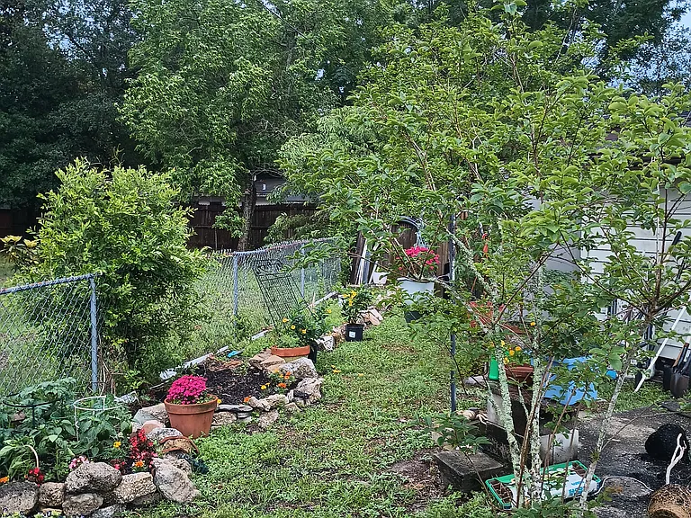 Quitina Dr — Photo 1