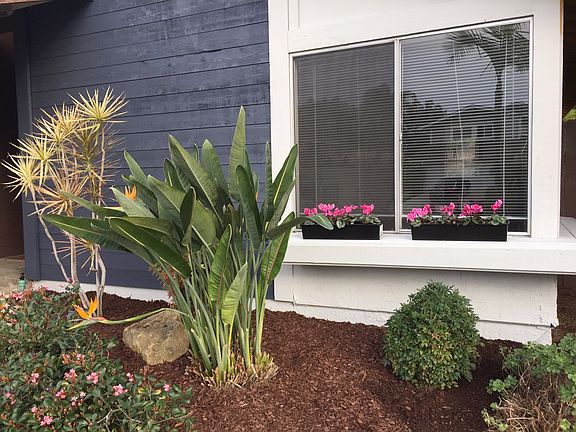 Exterior, right front