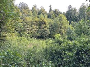 Dye Leaf Rd, Butler, TN 37640