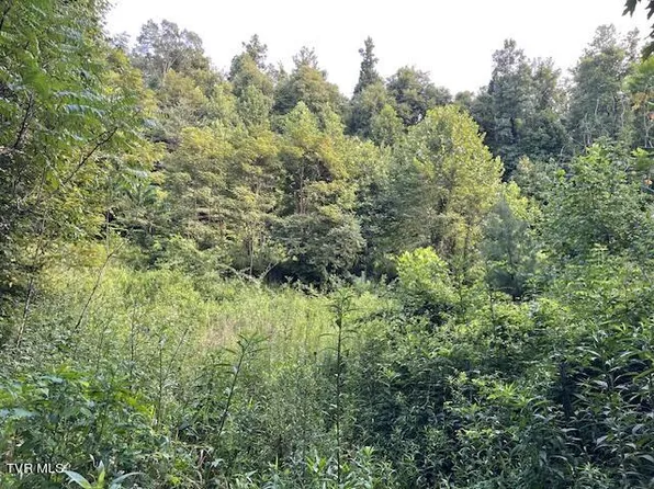 Dye Leaf Rd, Butler, TN 37640