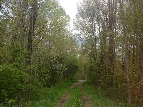 347 Cole Rd, Fulton, NY 13069