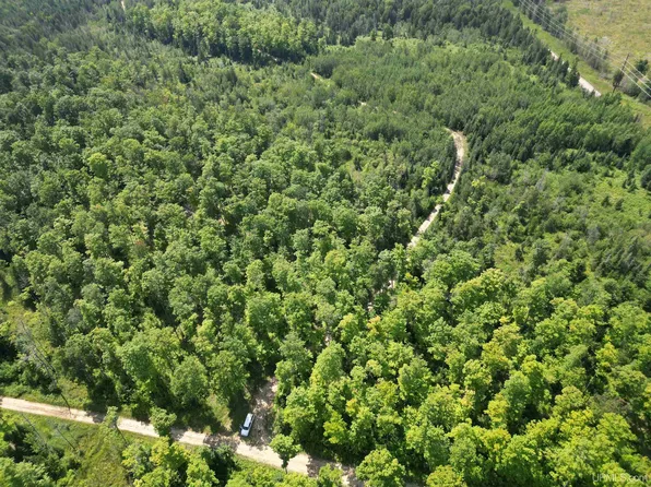 County Road 557 Rd, Perronville, MI 49873