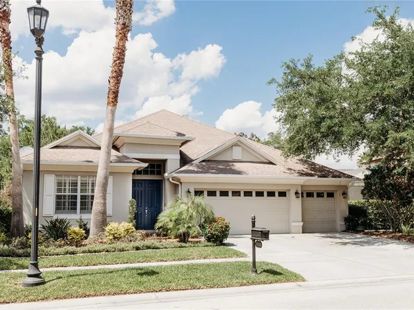 8338 Old Town Dr, Tampa, FL 33647