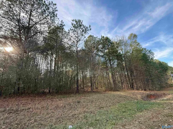 LOT 19 Sweetwater Ln, Rainbow City, AL 35906