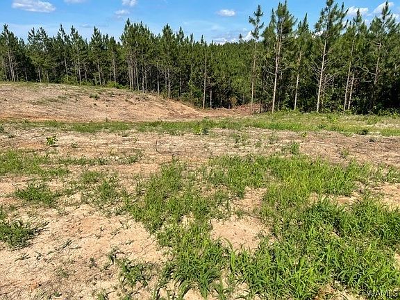 5th image of 5 Longleaf