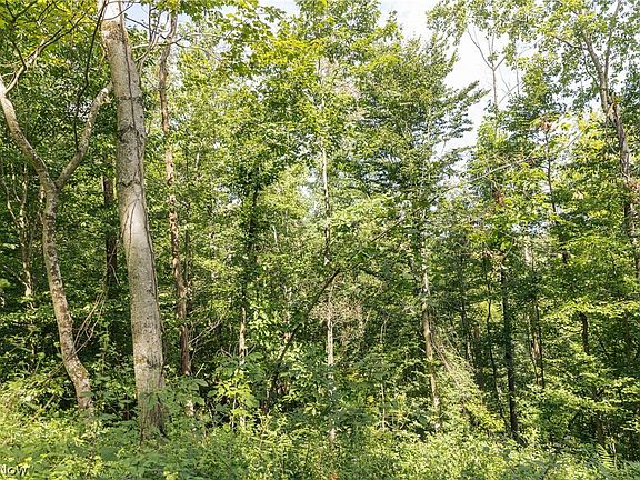 3rd image of 2145 Deans Fork Rd #2