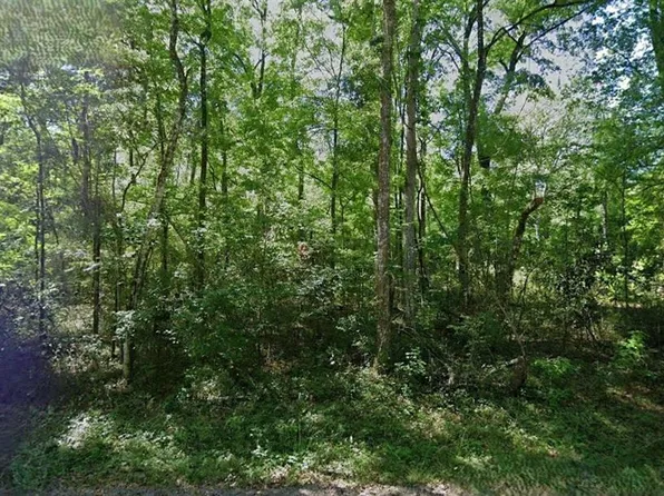 288th St Lot 2, Branford, FL 32008
