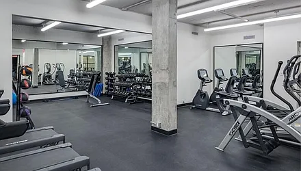 Rented by Alpha Properties NYC I LLC