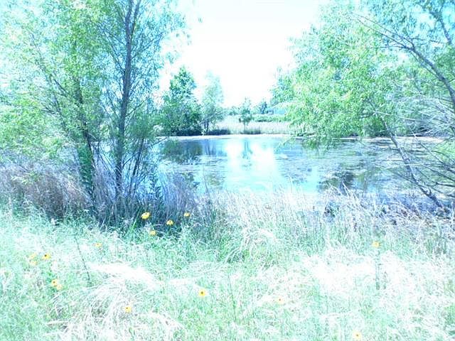 1st image of 2053 Farm Road 1502
