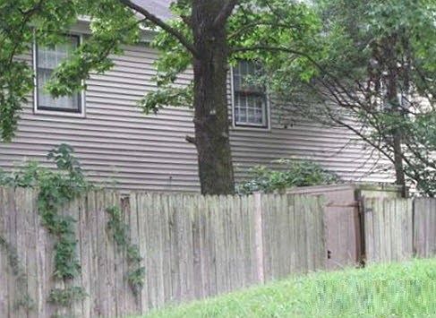 2nd image of 5256 Flowering Peach Dr
