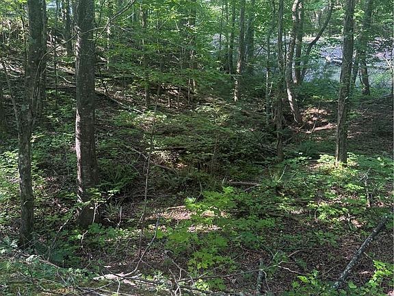 3rd image of 0 Clayton Gooch Rd