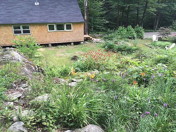 Yard, looking E.