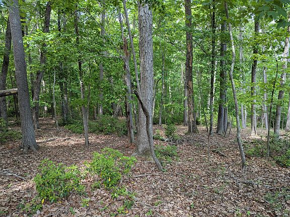 5th image of 0 Regency Blvd Lot 11