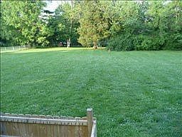 3rd image of 5050 Dovecote Dr