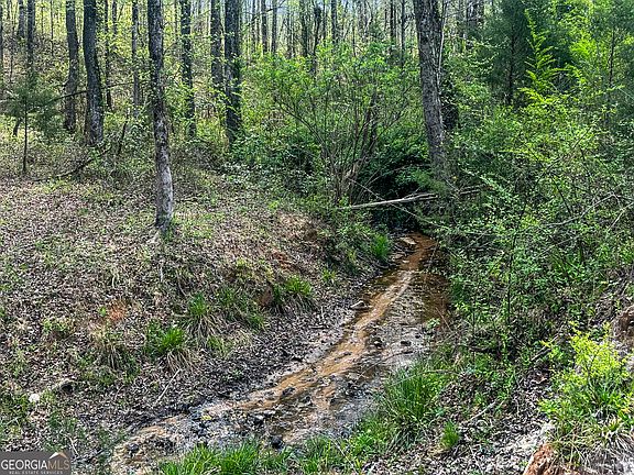 5th image of 4 Gooseneck Rd