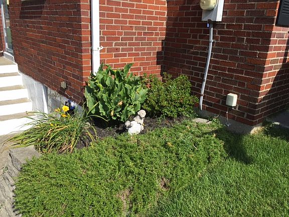 Meticulous Lanscaping