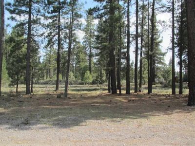 612 Willhoite Rd, Chester, CA, 96020