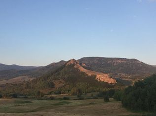 23140 Schussmark Trl, Oak Creek, CO 80467