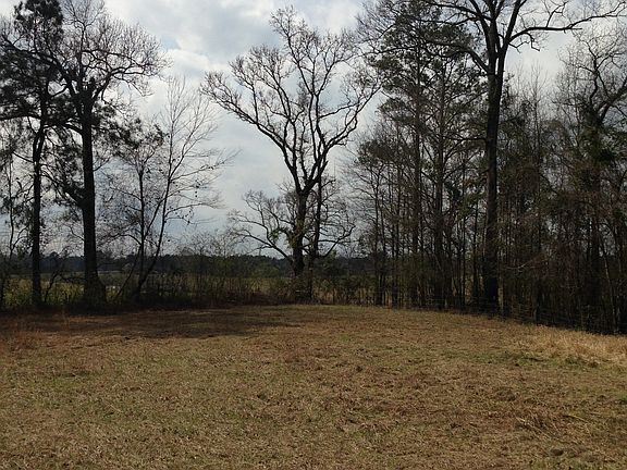 2nd image of 51 Coyote Cir