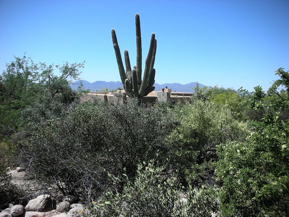 1st image of 7791 N Ancient Indian Dr